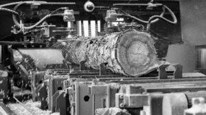 Pichler Wohnbau Geschichtspunkt